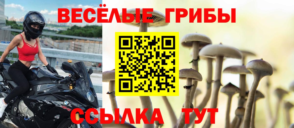 Галлюциногенные грибы Magic Shrooms Миасс